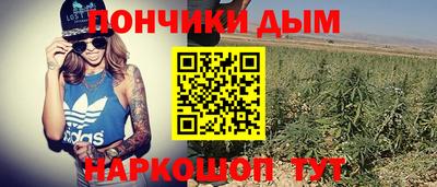 ALPHA PVP Кунгур